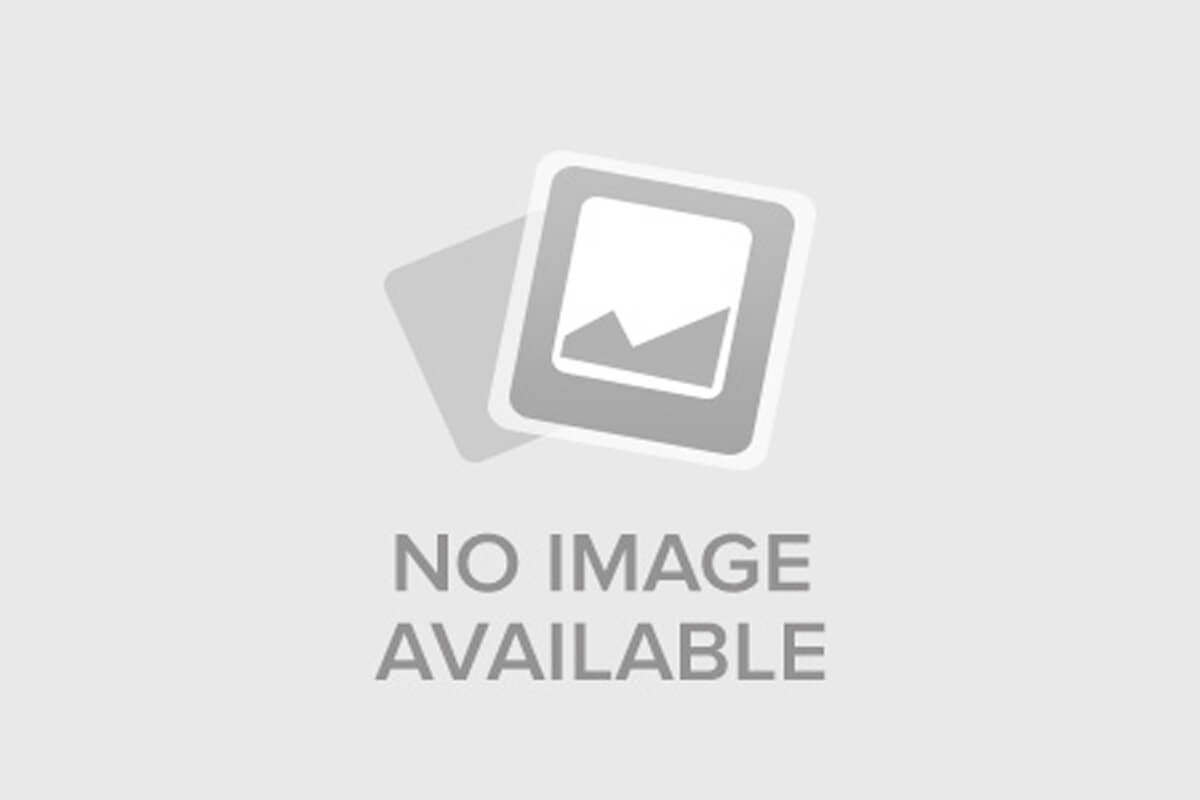 Баловень удачи 2 (2024)